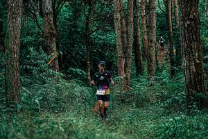 BIB: 
                            <button type="button" onclick="openModal(25237442)" class="btn btn-primary btn-sm float-right btn-popup" data-toggle="modal" data-target=".modal-high-quality">
                        <i class="fas fa-shopping-cart"></i> Add to Cart
                    </button>
                                            <button type="button" onclick="isThisMe(25237442, true)" class="btn btn-success btn-sm float-right btn-popup btn-isme hidden" data-toggle="tooltip" data-placement="bottom" title="นี่คือรูปของคุณใช่ไหม คลิกที่นี่เพื่อเอาเข้าอัลบั้ม">
                        <i class="fas fa-plus"></i> Add to album
                    </button>
                    <button type="button" onclick="isThisMe(25237442, false)" class="btn btn-warning btn-sm float-right btn-popup btn-isnotme hidden">
                        <i class="fas fa-ban"></i> Remove from album
                    </button>